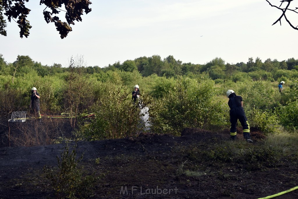 Waldbrand Koeln Hoehenhaus Hoehenfelder Mauspfad P097.JPG - Miklos Laubert